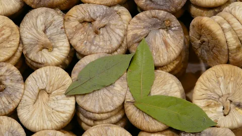 تصویر 4 از خرید انجیر خشک نخی + قیمت فروش استثنایی